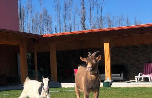 Eucalyptus Pink House - Foto 9