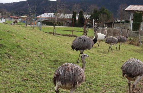 FeWo Bader - Foto 25