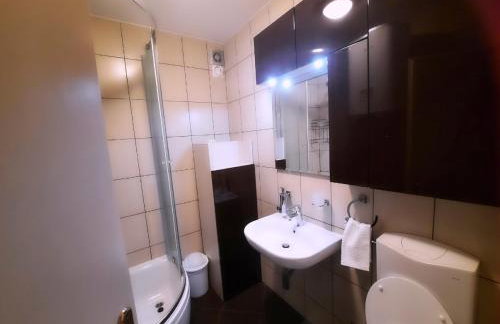 Apartman Peregrinus - Foto 29