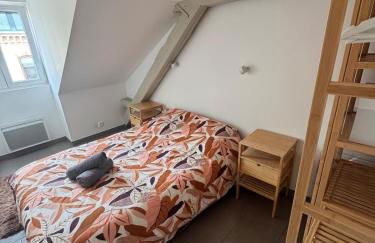 Appartement cosy au centre ville de Colmar - Foto 4