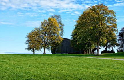 Ferienhaus Chiemgauer Auszeit- Chiemgaukarte inclusive - Foto 39