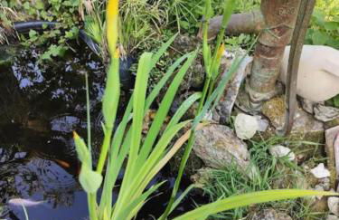 La Maison Bleue de Husseau Ancienne ferme semi-troglodytique 18e siècle - Foto 6