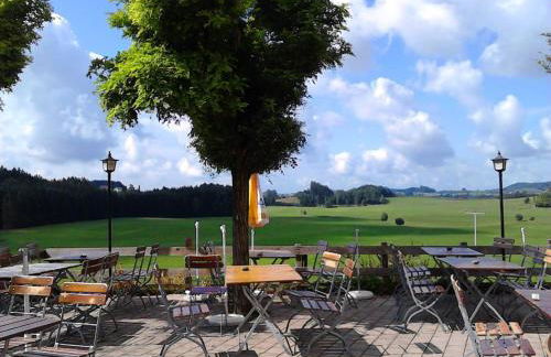 Gasthof Grüner Baum "Kongo" - Foto 23