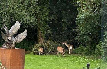 Honeysuckle Cottage - Foto 18