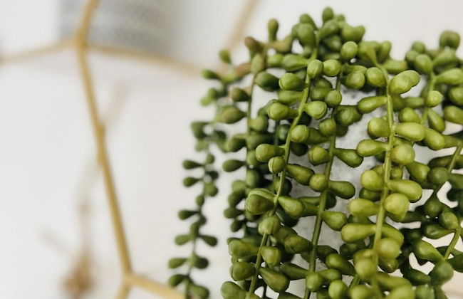 Amber Apartment 2 in Newmarket - Foto 27