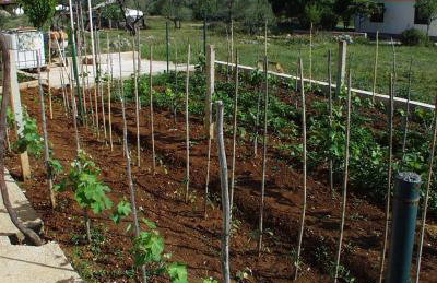 Apartments with parking space Kraj, Pasman - 696 - Photo 9