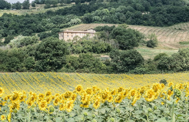 Agriturismo Goccia di Luna - Foto 75