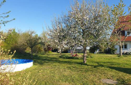 Ferienwohnung Rupp Bergblick & private Sauna - Photo 13