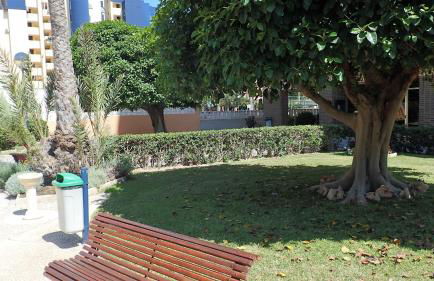 Tortuga Flat - Photo 40