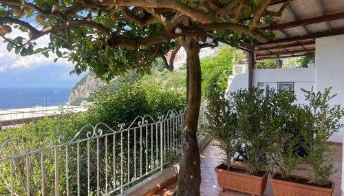 La Casa di Audrey - Foto 2