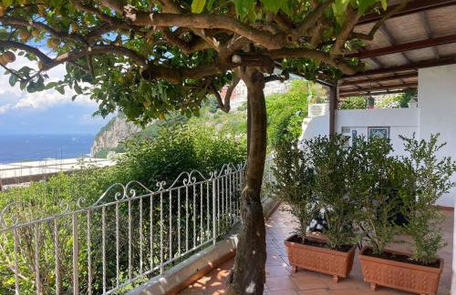 La Casa di Audrey - Foto 2