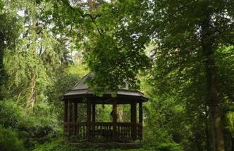 Leśny kasztel pod sosnami. Pokój w koronach drzew. - Foto 32