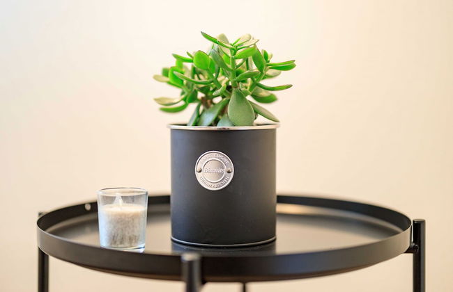 Erven Janovice Sckv023-ka - Foto 36