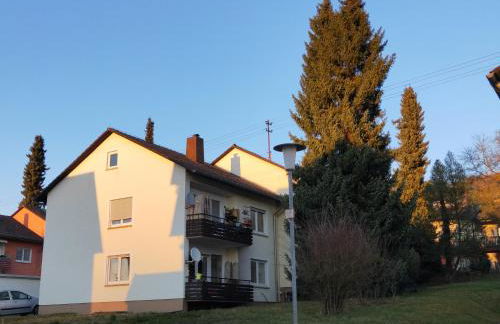 Gemütliche Ferienwohnung Whole Apartment Merlion 65sqm, EG, WLAN WiFi, 3 Zi Rooms, Taubertal KGH Deutschland - Foto 11