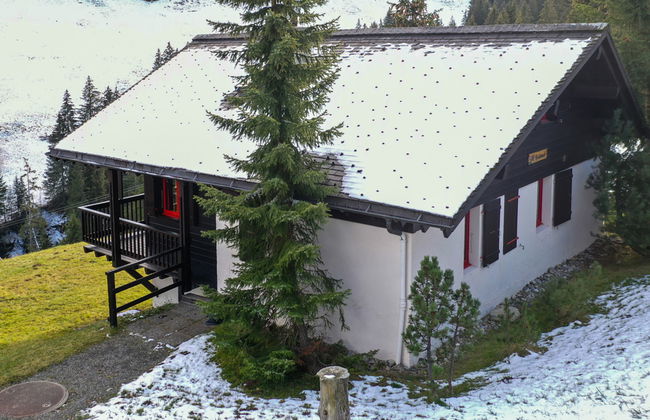 Le Cyclamen - Foto 30