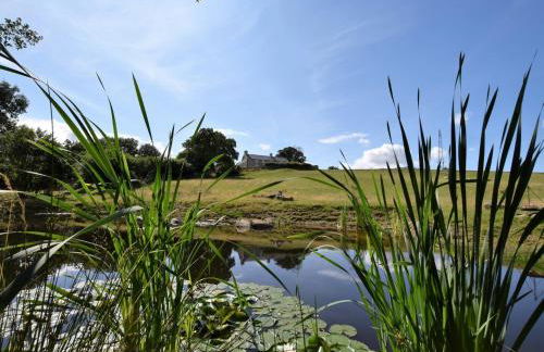 3 Bed in Conwy 80476 - Foto 17