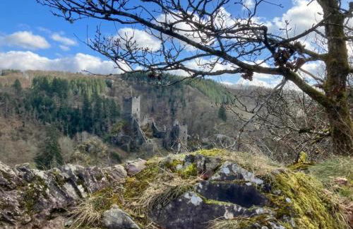 Wunderschone Ferienwohnung im Burgenland - Foto 57