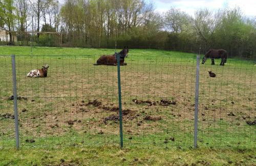 Charmante Dépendance - Foto 22