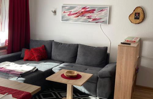 Gemütliche Ferienwohnung in Sankt Blasien - Foto 1