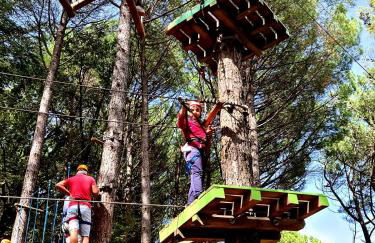 Etna panoramic villa with swimming pool - Foto 31