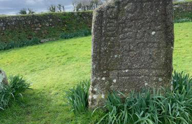 Field View - Foto 38