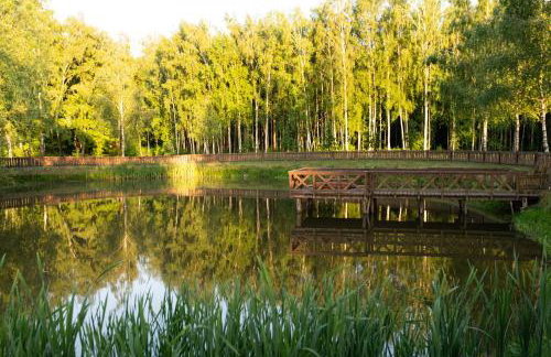 Siedlisko Domkowo - Foto 18