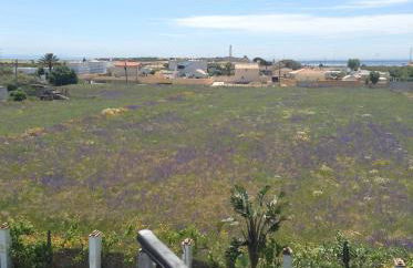 Placer de Meca - Foto 56