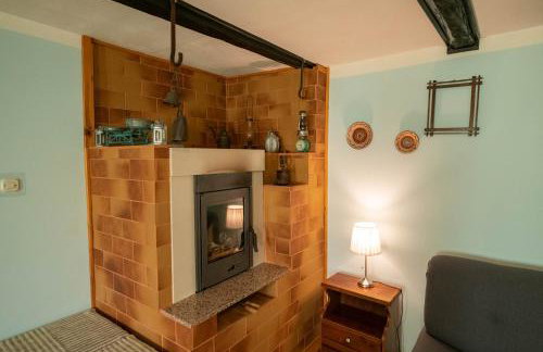 Šajnska Hiža, autentična goranska kuća u prirodi - Foto 11