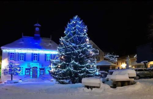 Lumineux 2 pièces vue montagne au pied des pistes avec parking privé - Foto 30