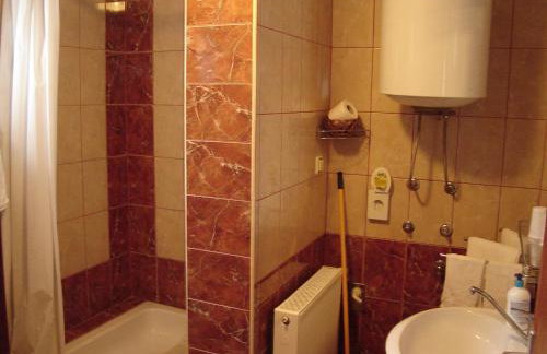 Apartments Pavlić - Foto 59