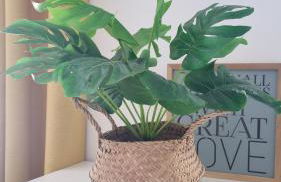 Le 36 - Maison COSY - Jardin privatif - Foto 12