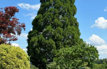 Hofgut Bergchalet Mirabell - Natururlaub am Bodensee - Foto 50