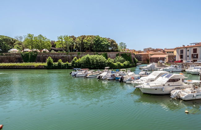 Surf Sound B Flat in Livorno - Foto 51