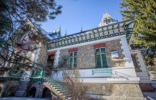 Olala Vila Sinaia - Foto 6