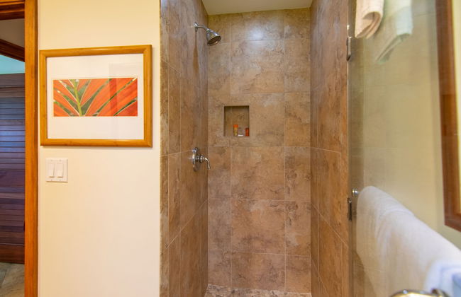 Kapalua Ridge Villa 1523 Gold Ocean View - Photo 17