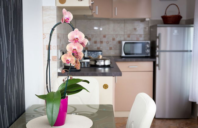 Best Apartments Szeged - Foto 29