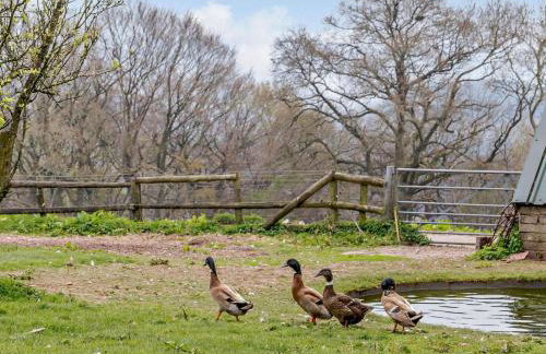 3 Bed in Monmouth oc-52149 - Foto 20