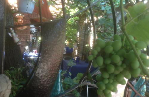 Gästehaus Chateau d‘Orsay - Foto 23