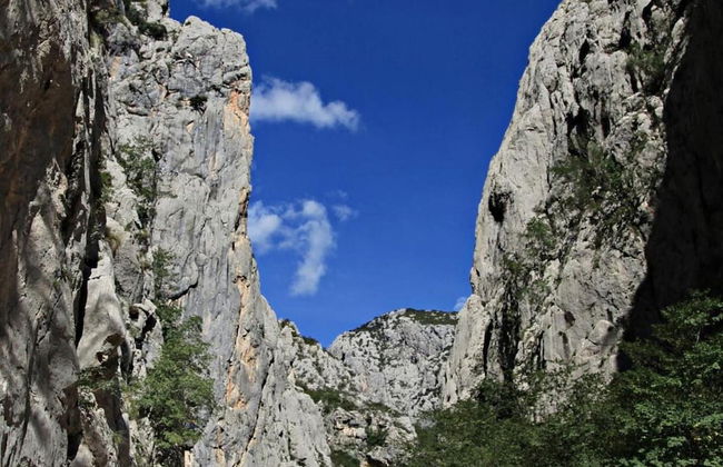 Your Perfect Adriatic Getaway - Photo 24