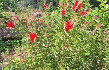 Villa Sisyphe TINY HOUSE" la Odette" - Foto 20