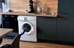 L'Emeraude, les pieds dans l'eau - Foto 10