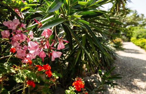 costa di sognu - Foto 35