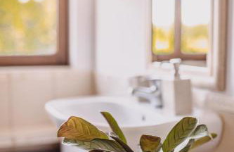 Sowie Klimaty - Foto 33