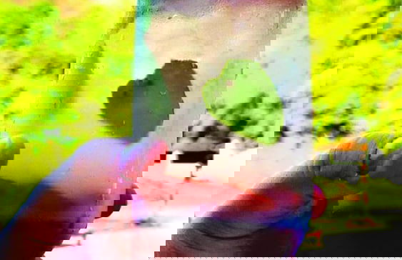 Rangel Village - Hotel Fazenda Pedra Do Rodeadouro - Foto 1