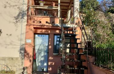 La Terrazza di Trecento - Foto 8