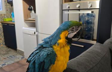 Casa Rural El Bressol - Foto 52