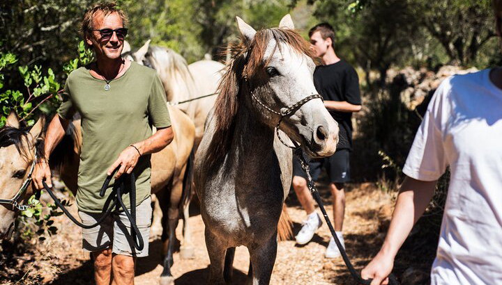 Santuario de Caballos: Un paseo por la naturaleza con Caballos Rescatados a tu lado - Foto 1