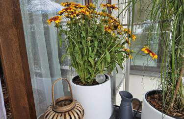 Czarny Słoń - elegancki apartament z klimatem - Photo 45