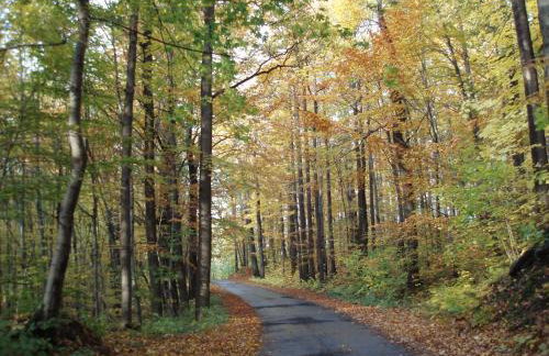 Dom Gościnny pod Zamkiem Wleń - Foto 49