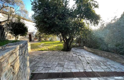 Beachfront Villa Rodi Pelion - Foto 36